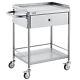 Vevor 2-tier Stainless Steel Cart Mobile Lab Utility Cart With A Drawer 220 Lbs