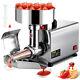 Presse à Tomates électrique Vevor Machine à Moudre Commerciale De Tomates Avec Filtre Sus 370w